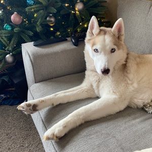 Meet your Posher, Katelyn